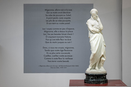 Gap, Musée Muséum départemental des Hautes-Alpes, Jean Esprit Marcellin