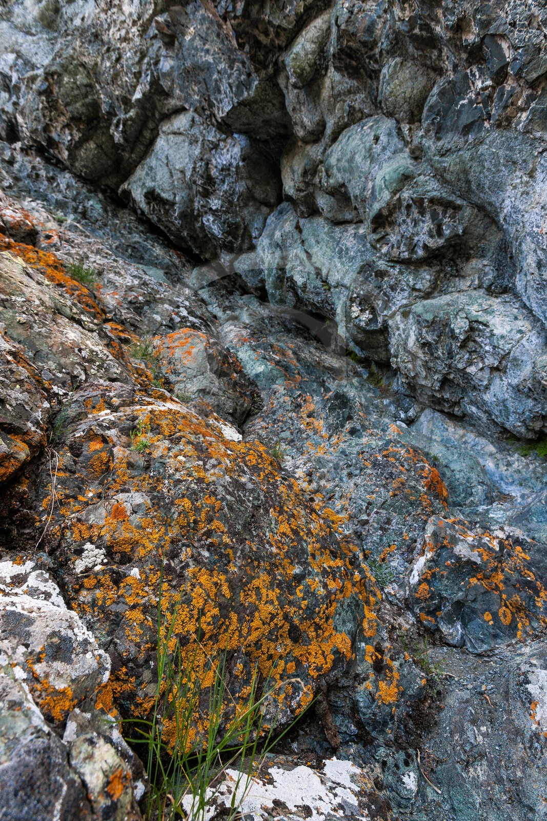 Montgenèvre, Le Chenaillet, ophiolites