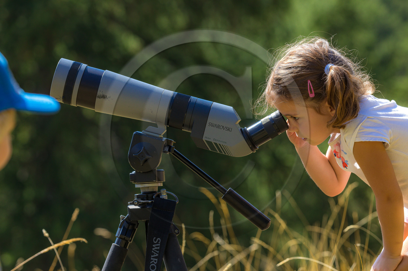 Bureau Montagne Visa Trekking