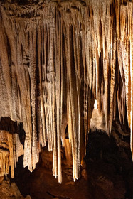 Grotte de Dargilan