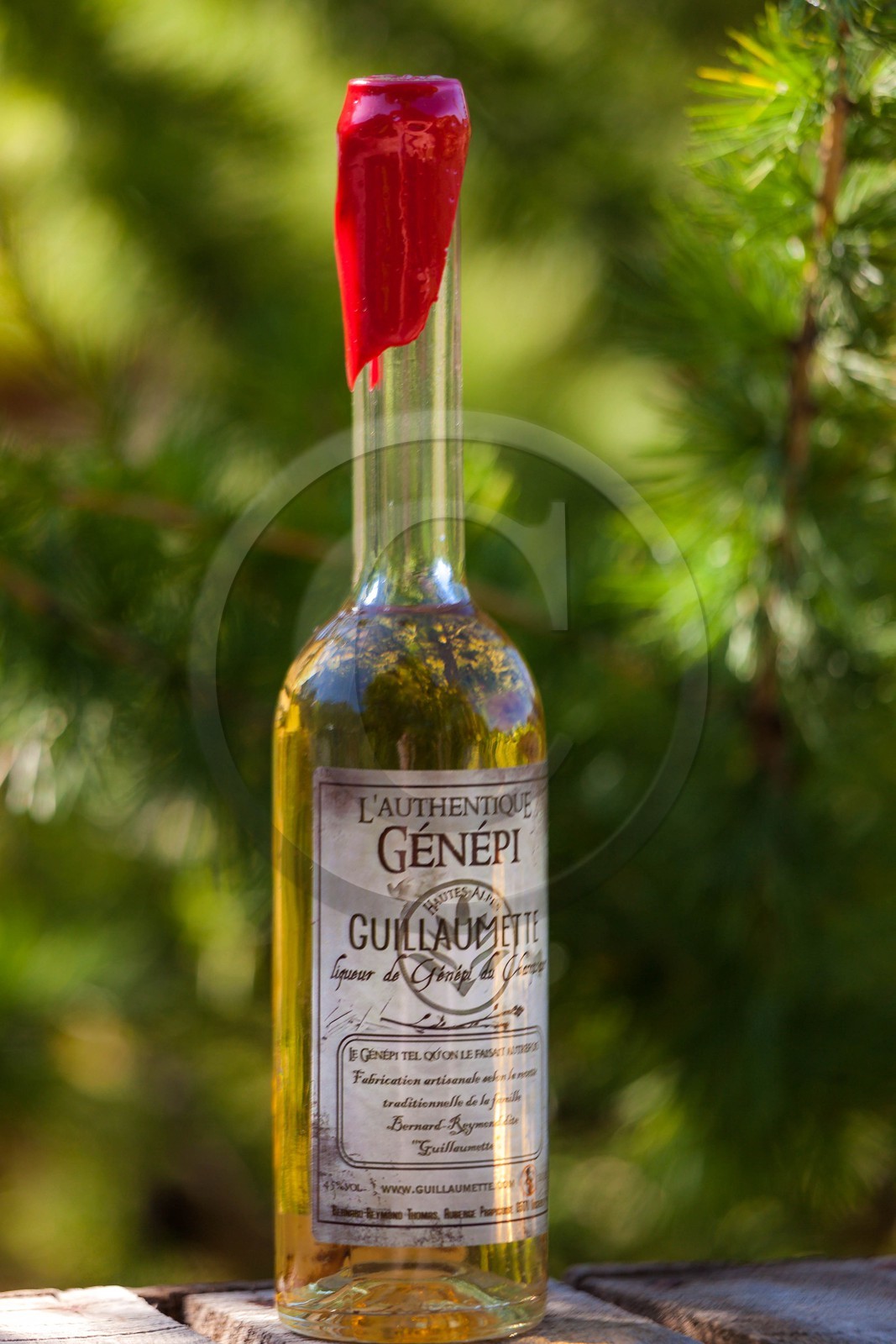 Orcières 1850, Génépi Guillaumette