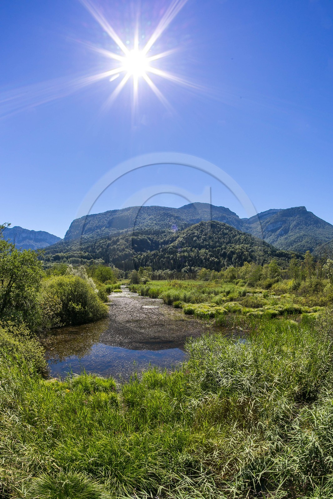 ENS de l'Isère, Tourbières de l'Herretang