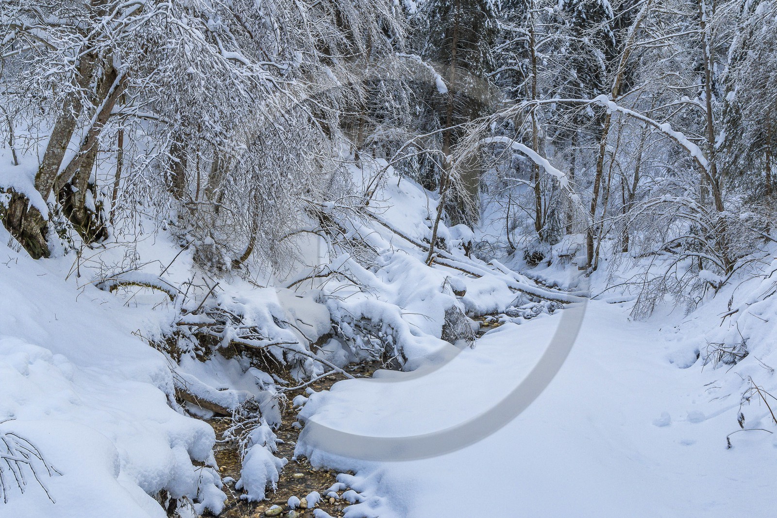 ENS de l'Isère, Les Ecouges