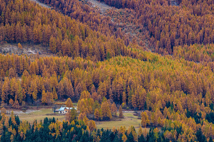 Arthouse en automne