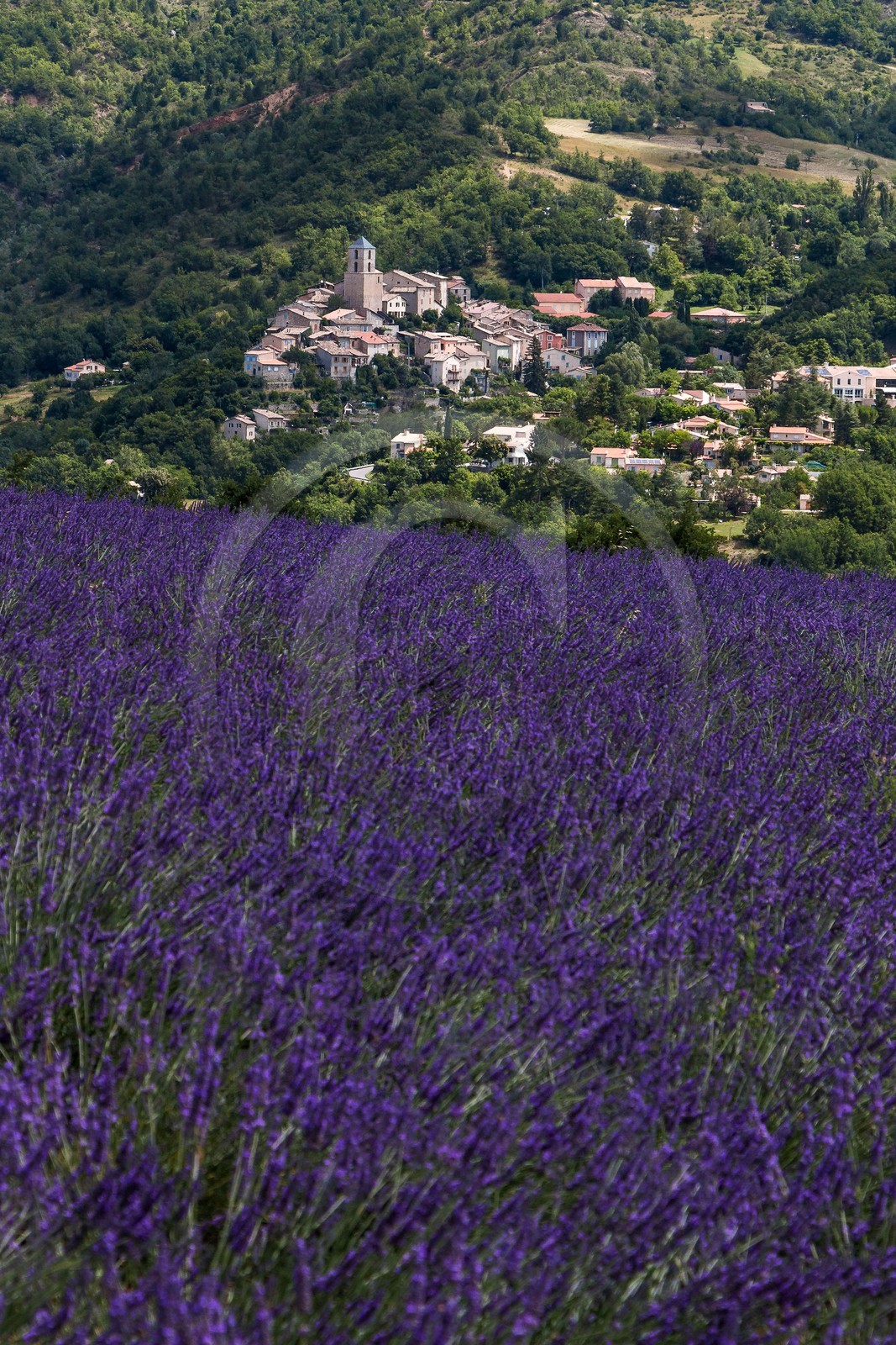 vallée des Duyes, Thoard