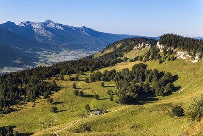 ENS de l'Isère, Plateau de la Molière et du Sornin