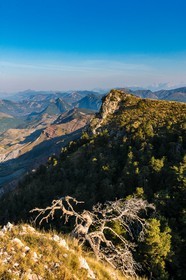 Les Monges