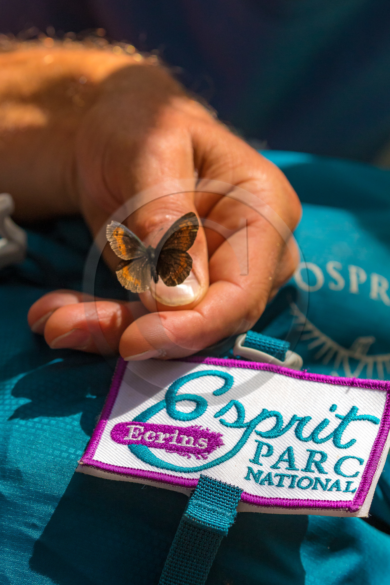 Curieux de nature, sortie découverte avec Cyril Mahout