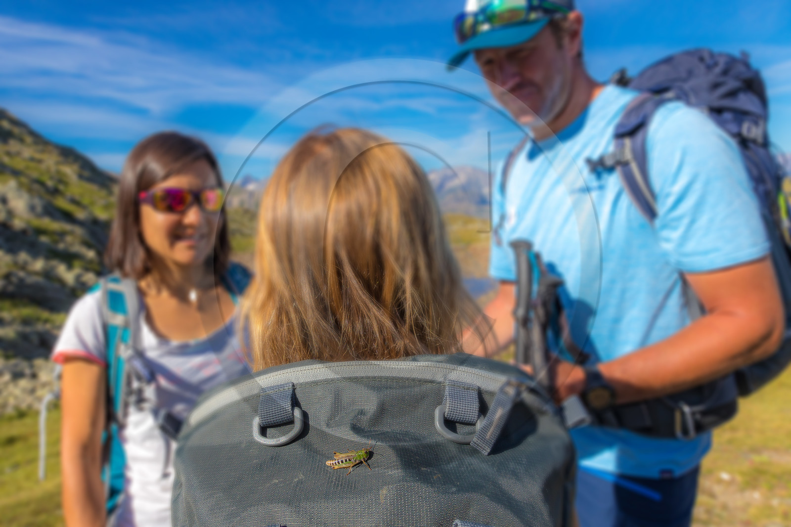 Plateau d'Emparis, randonnée pédestre