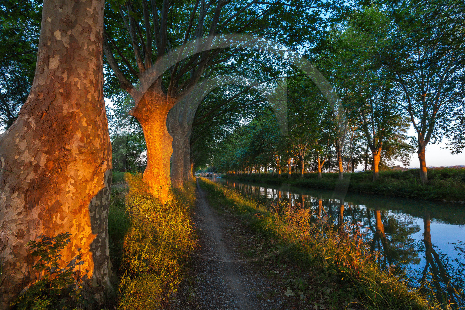 Canal du Midi, inscrit au Patrimoine mondial de l'UNESCO
