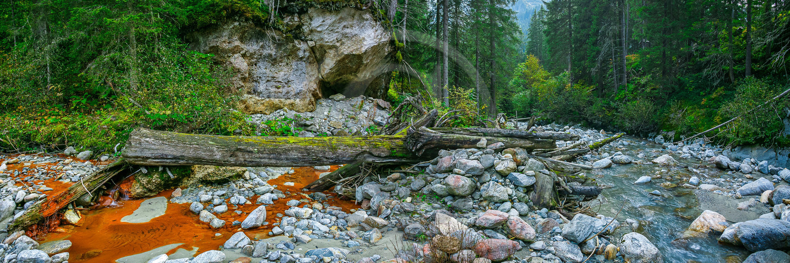 Réserve naturelle des Contamines-Montjoie, source ferrugineuse dans le torrent de Tré-la-Tête