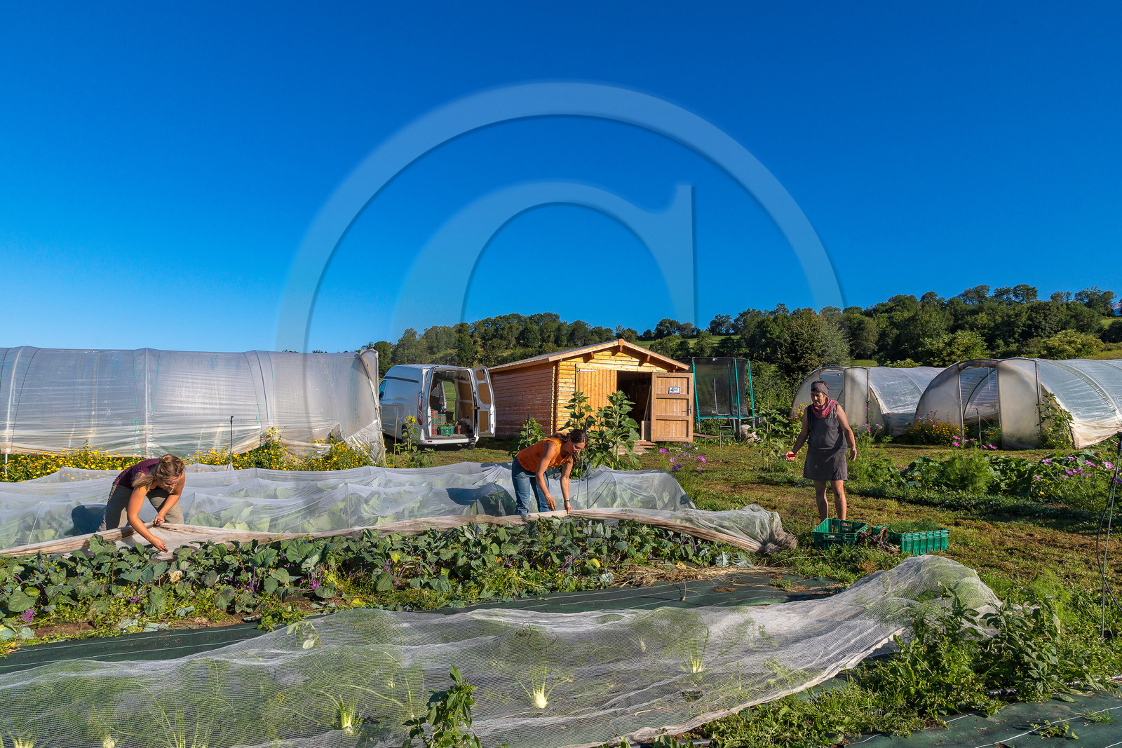 LéguMontagne, Sylvie Jaussaud et  Bertille Gieu, Maraîchères bio