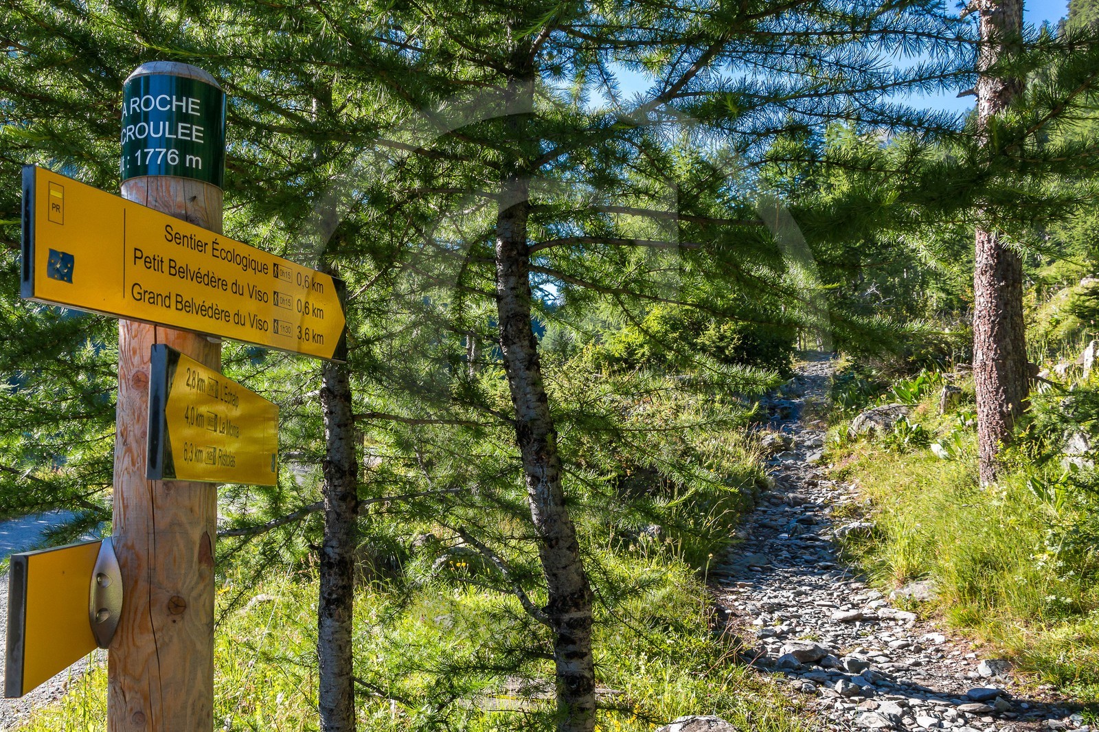 Réserve naturelle de Ristolas-Mont Viso, randonnée au petit belvédère du Viso