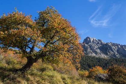 Valdeblore, Baus de la Frema