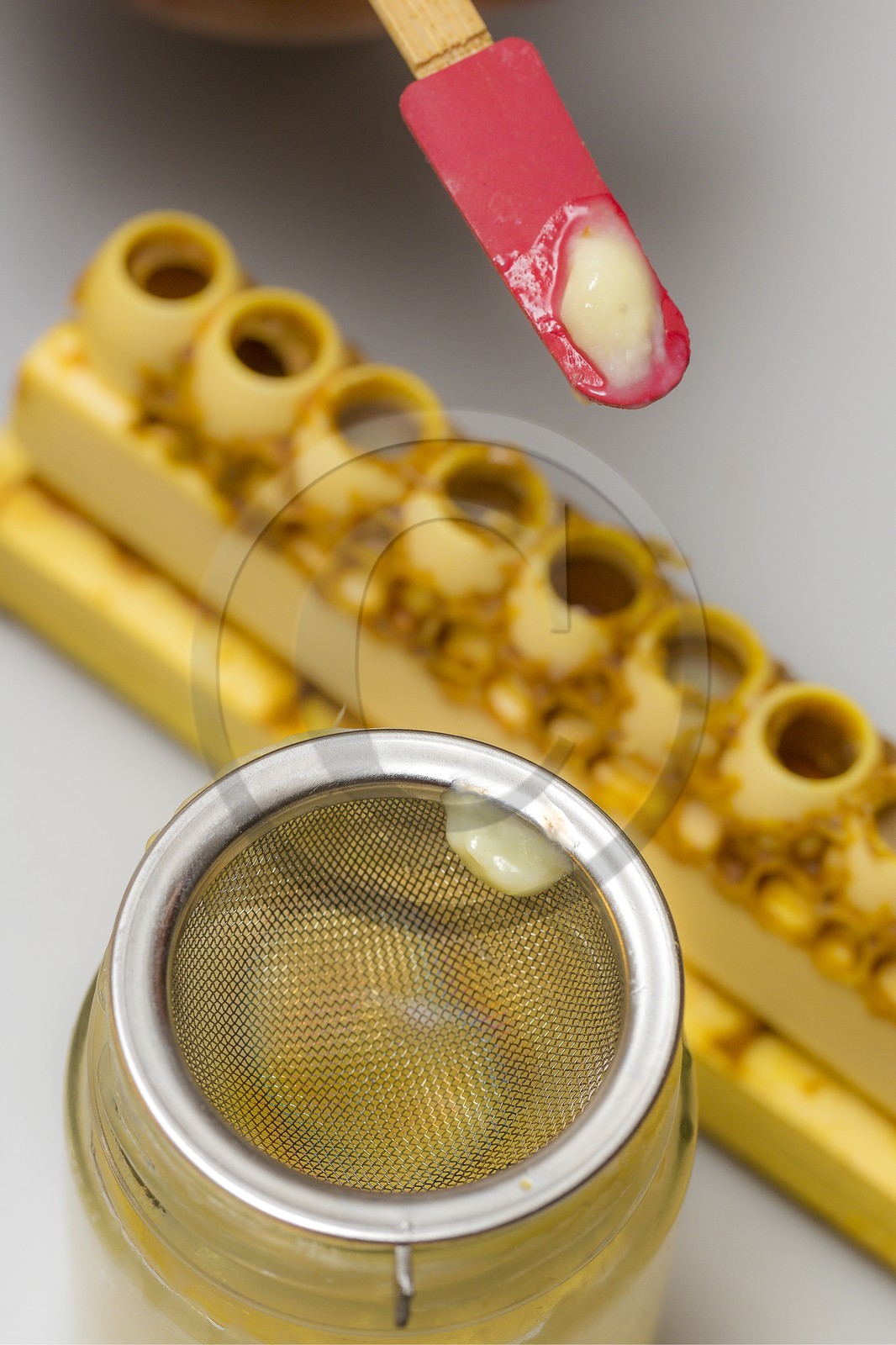 Mathieu Picavet, apiculteur