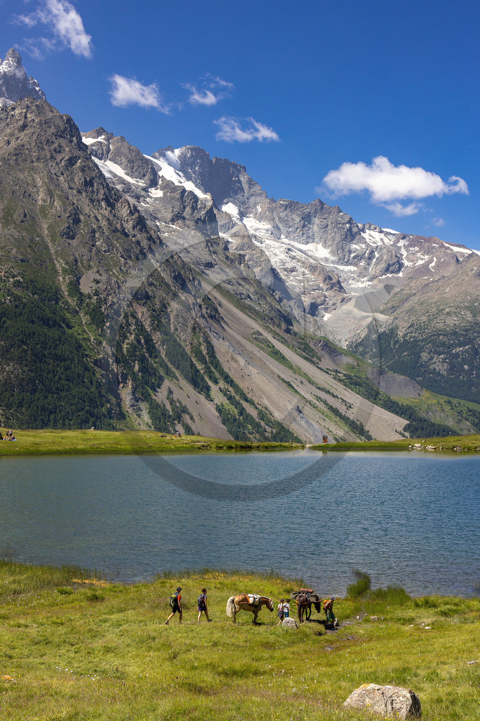 Trek famille avec animaux de bats