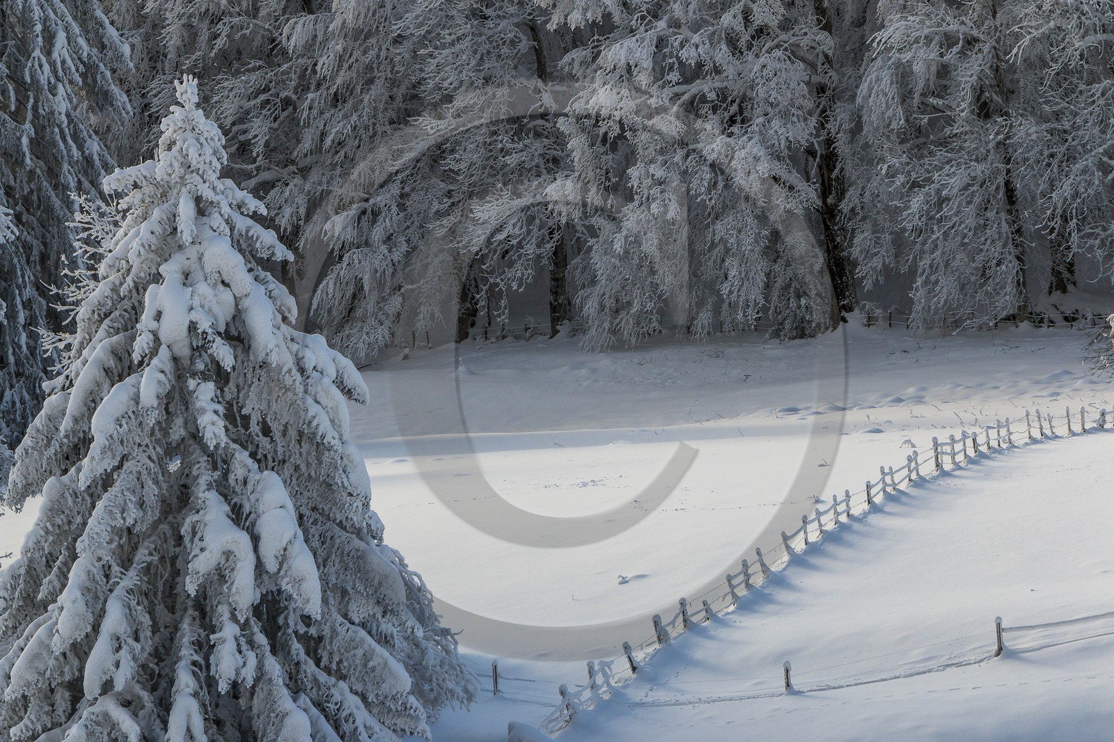 ENS de l'Isère, Les Ecouges