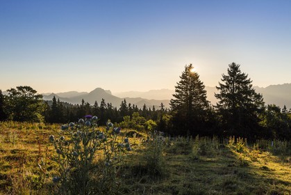 ENS de l'Isère, Plateau de la Molière et du Sornin