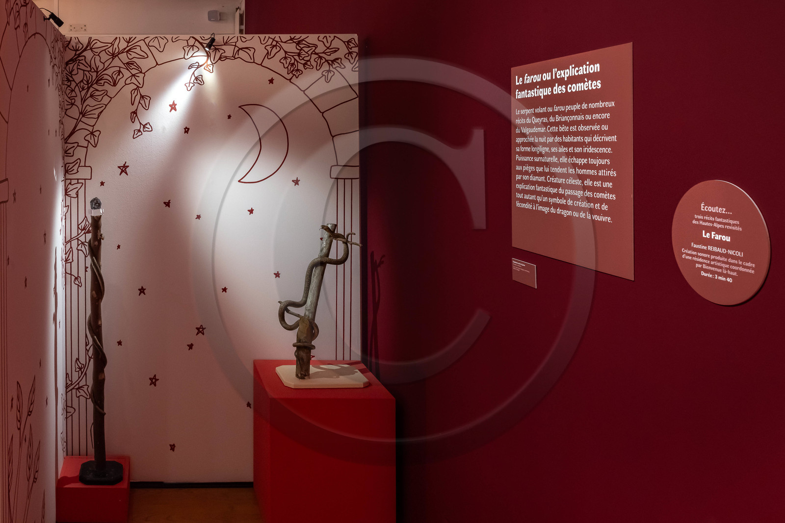 Musée Muséum départemental des Hautes-Alpes, Exposition Nuit