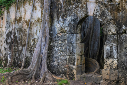 Guadeloupe, ancienne prison et le Figuier Maudit