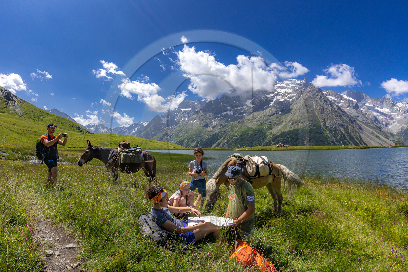 Trek famille avec animaux de bats