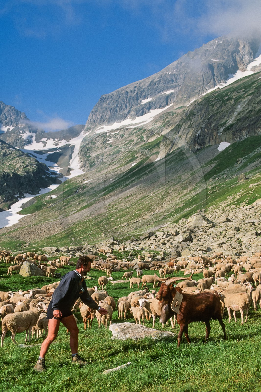 Pierre Barban, berger de l'alpage de la Muzelle