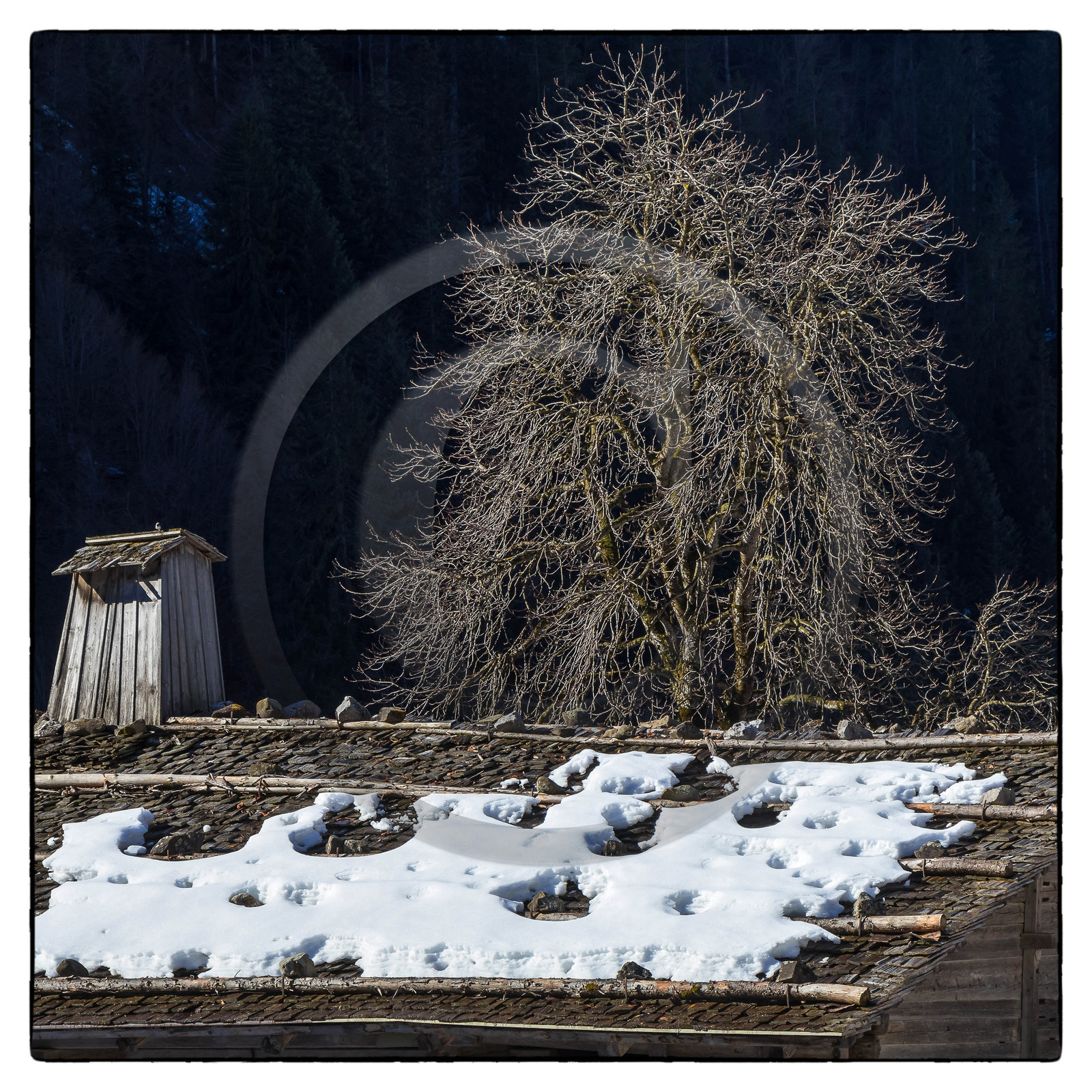 Le Grand Bornand, Les Plans