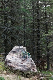 Sentiers Art et Nature Queyras et Val Varaita, Stéphanie Cailleau