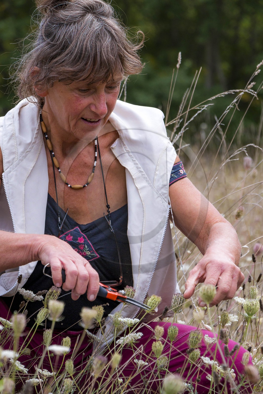 Des roses et des orties, Marie-Jo Etienne
