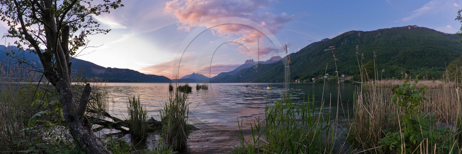 Réserve naturelle du Bout du Lac d'Annecy