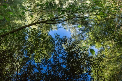 ENS de l'Isère, espace alluvial de la Rolande