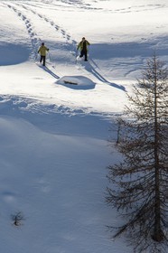 Col de Larche, vallon du lauzanier, randonnée raquettes