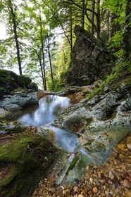 ENS de l'Isère, Les Ecouges