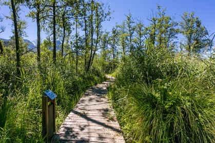 ENS de l'Isère, Tourbières de l'Herretang