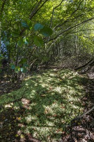 ENS de l'Isère, Etang des Béroudières