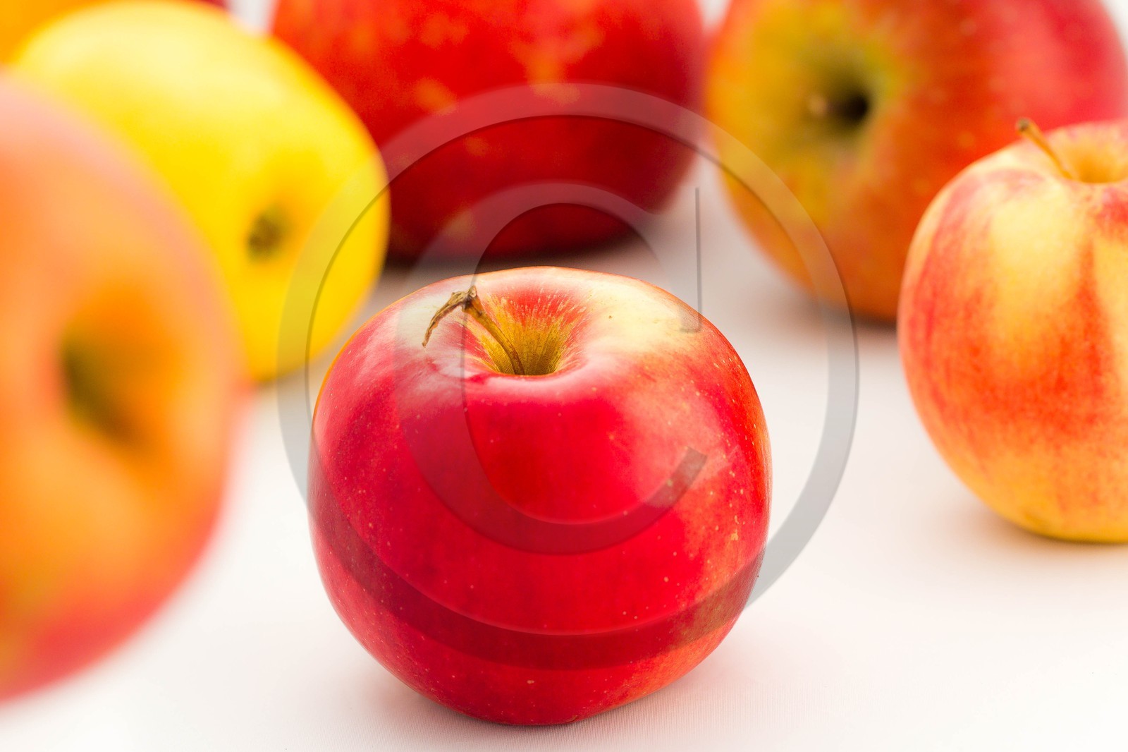 Noëlle et Franck Jacob, producteurs de fruits