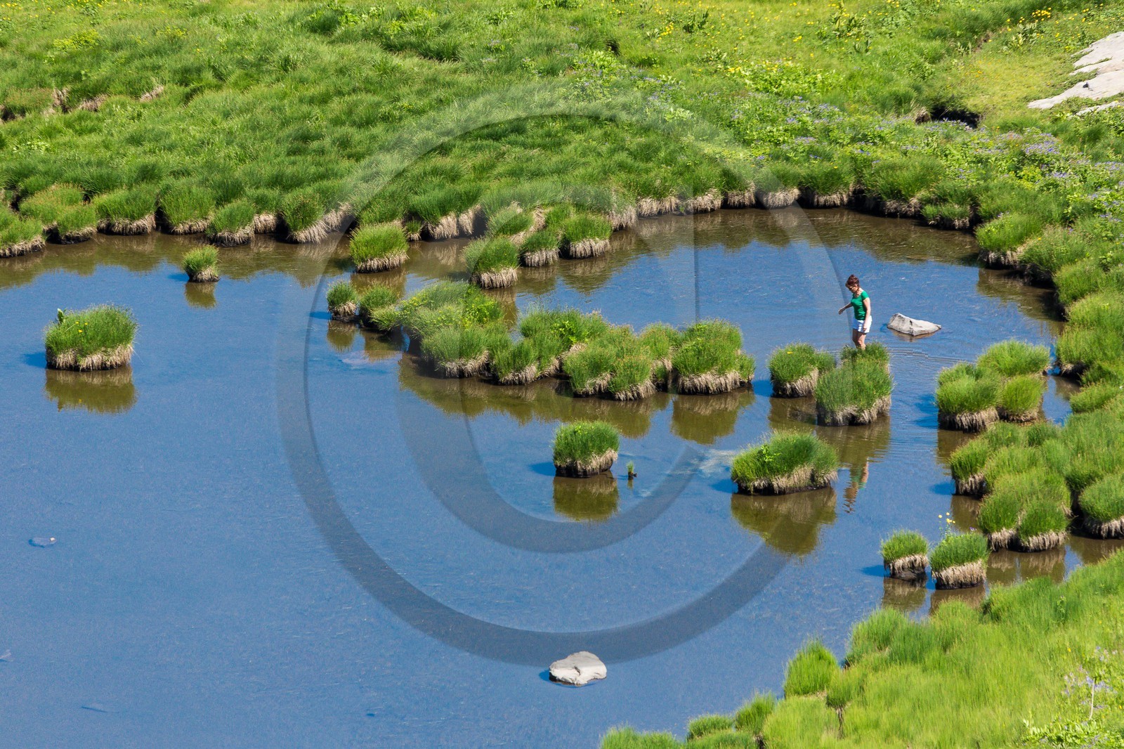 Vallon du Laverq, lac et tourbière Les Eaux-Tortes