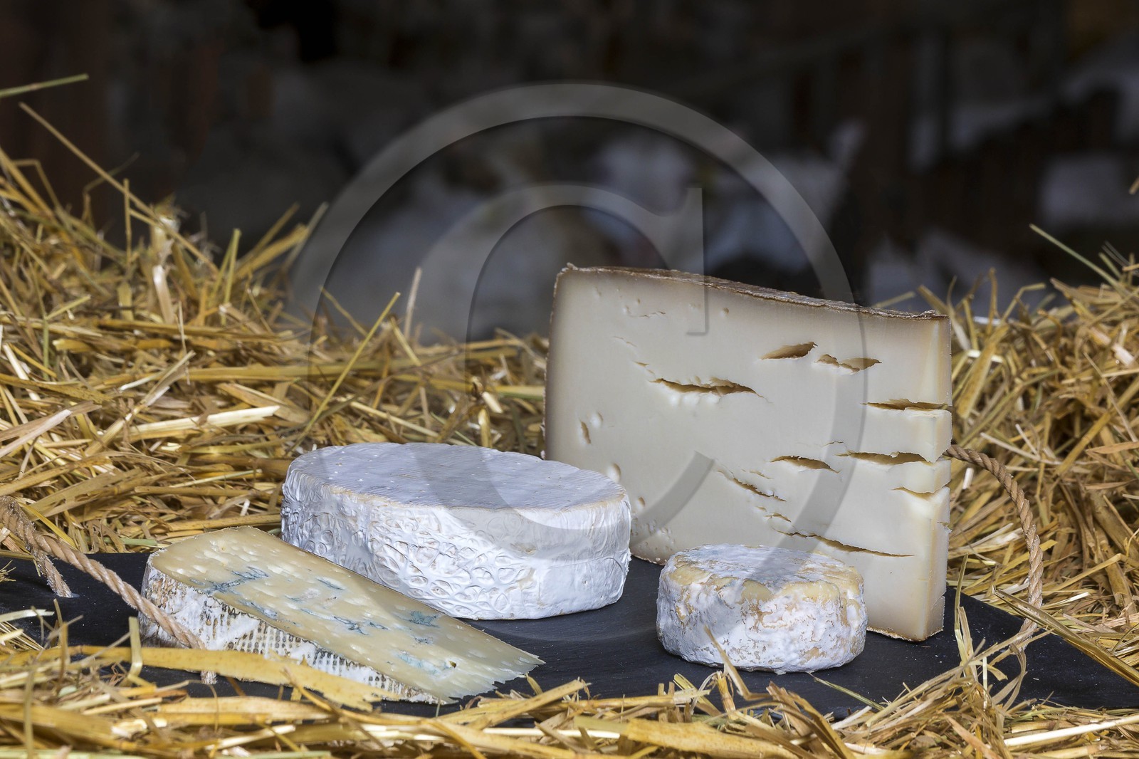 GAEC du Bois Noir, vente sur place de fromages de chèvre