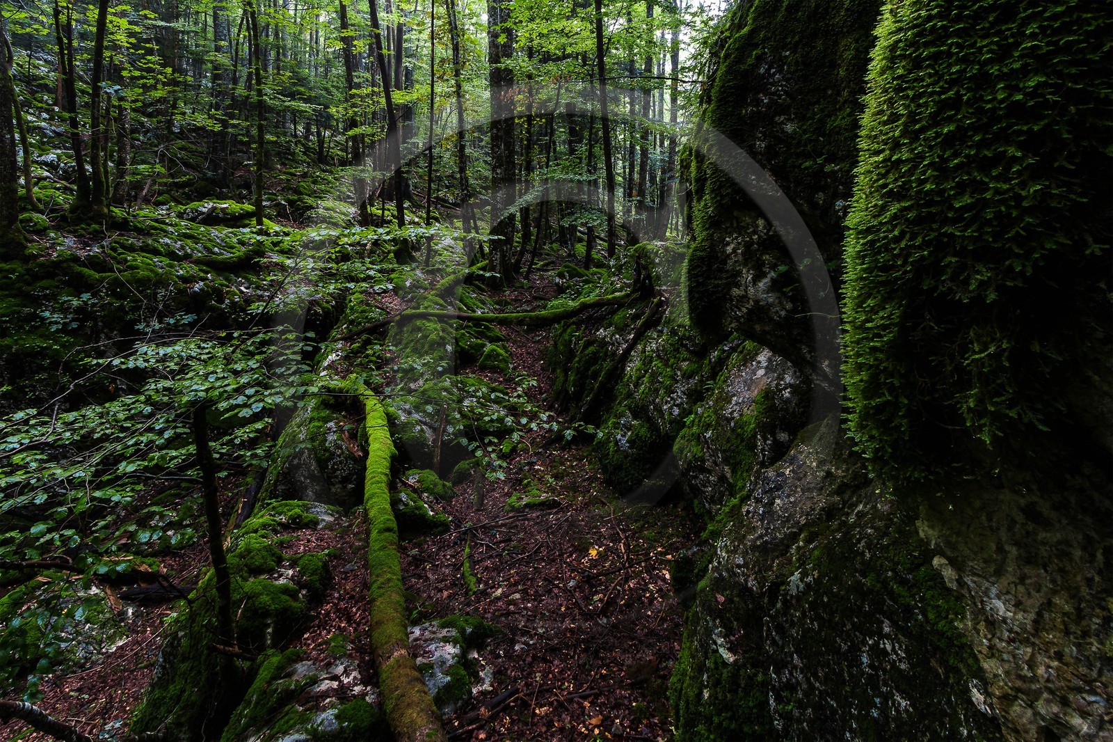 ENS de l'Isère, Les Ecouges