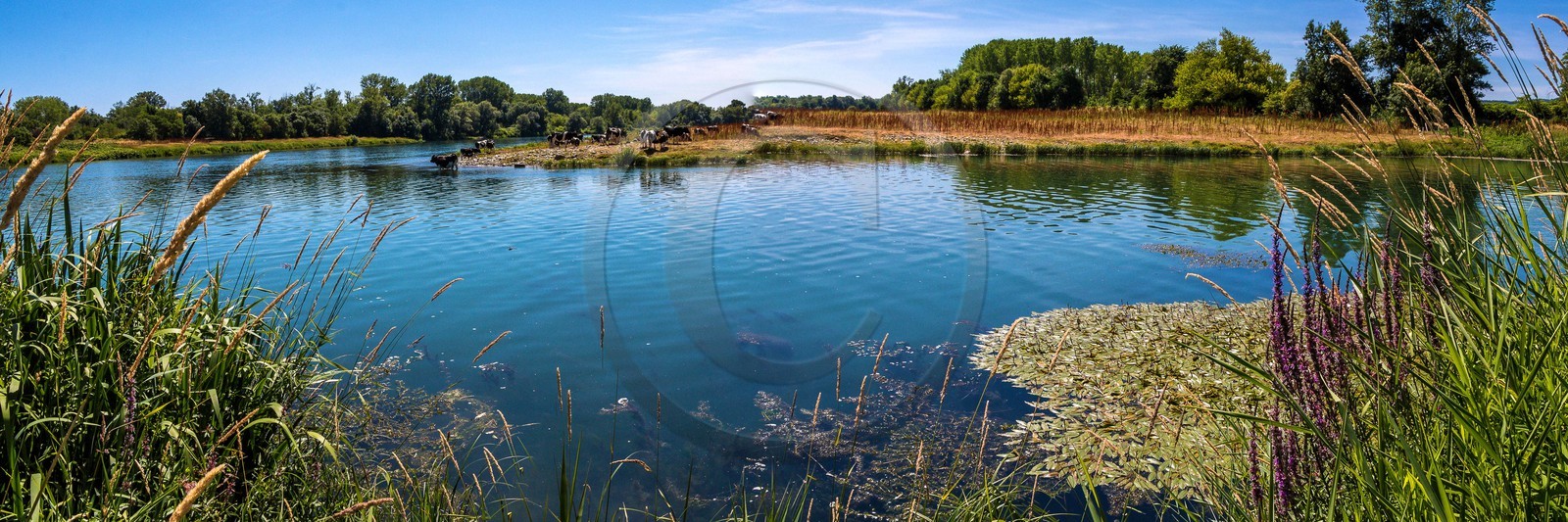 ENS de l'Isère, , le méandre des Oves