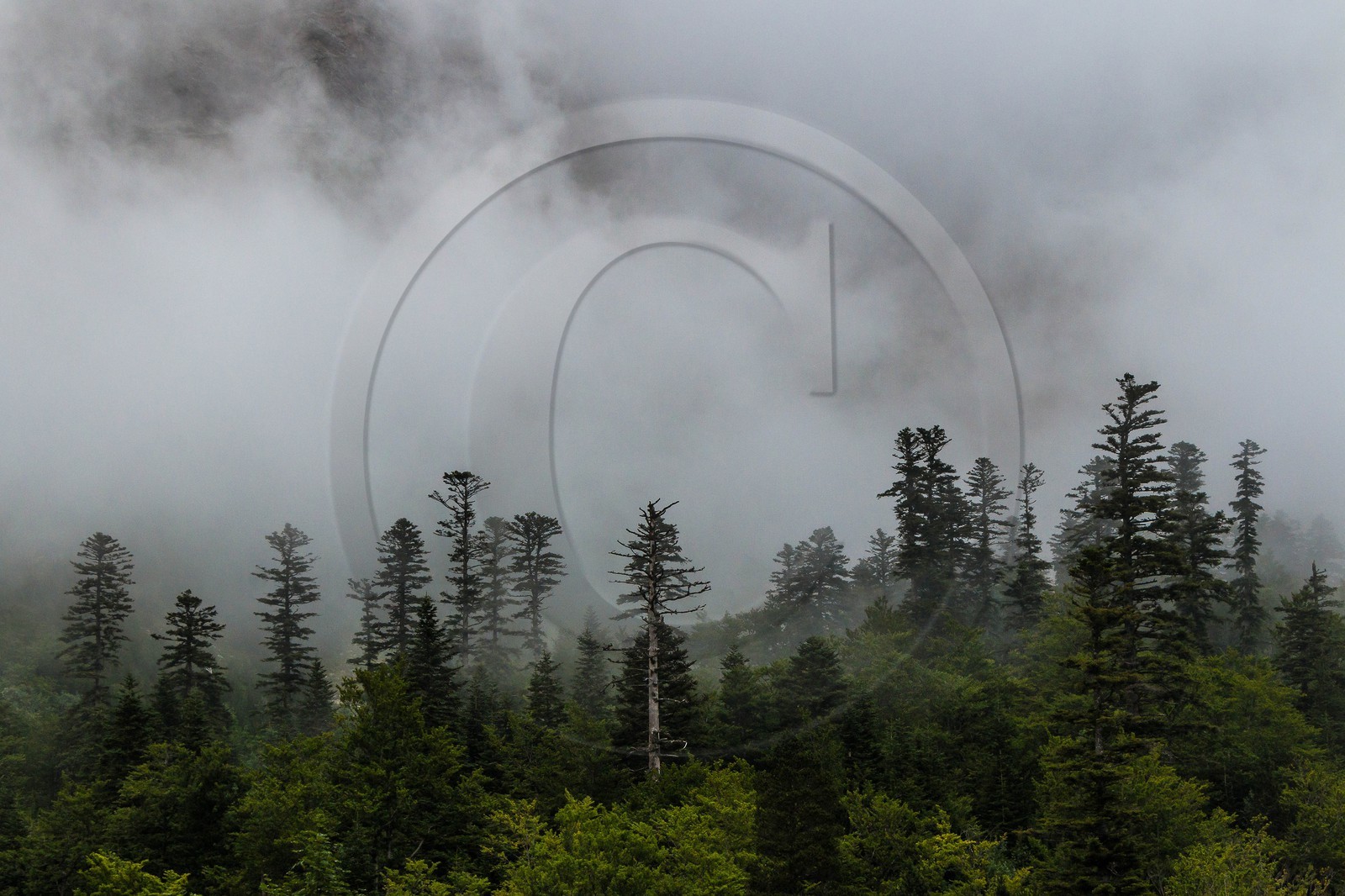 vallon de La Jarjatte