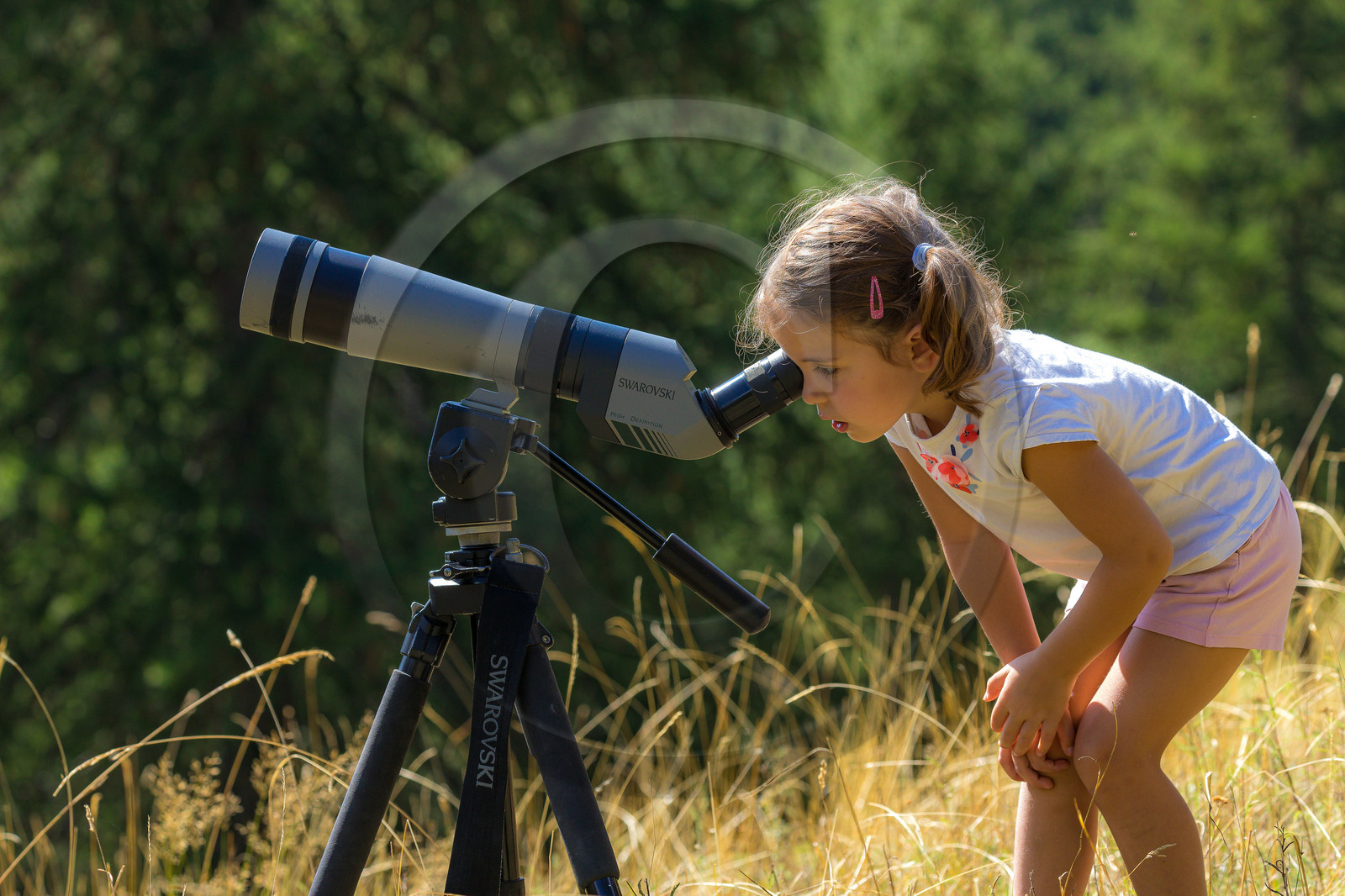 Bureau Montagne Visa Trekking