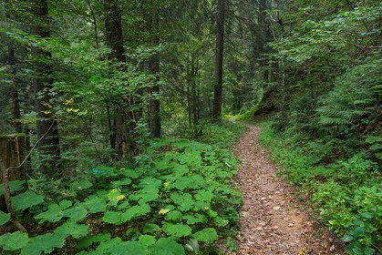 ENS de l'Isère, Les Ecouges