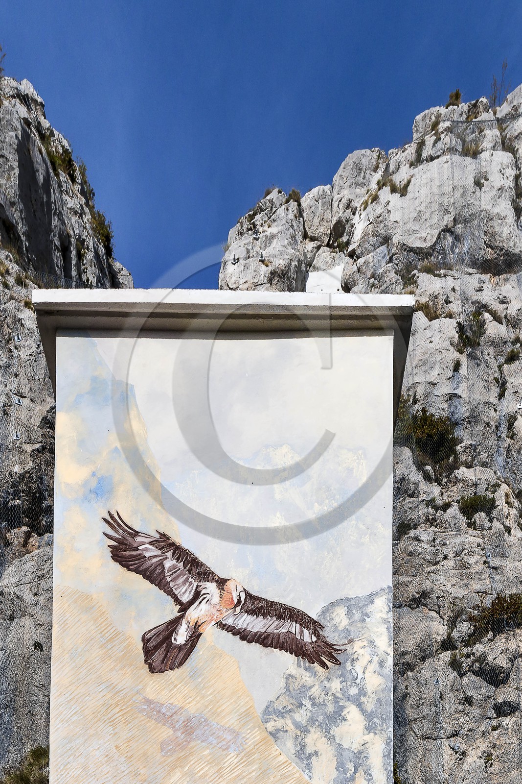 Vallée de la Tinée, Roubion