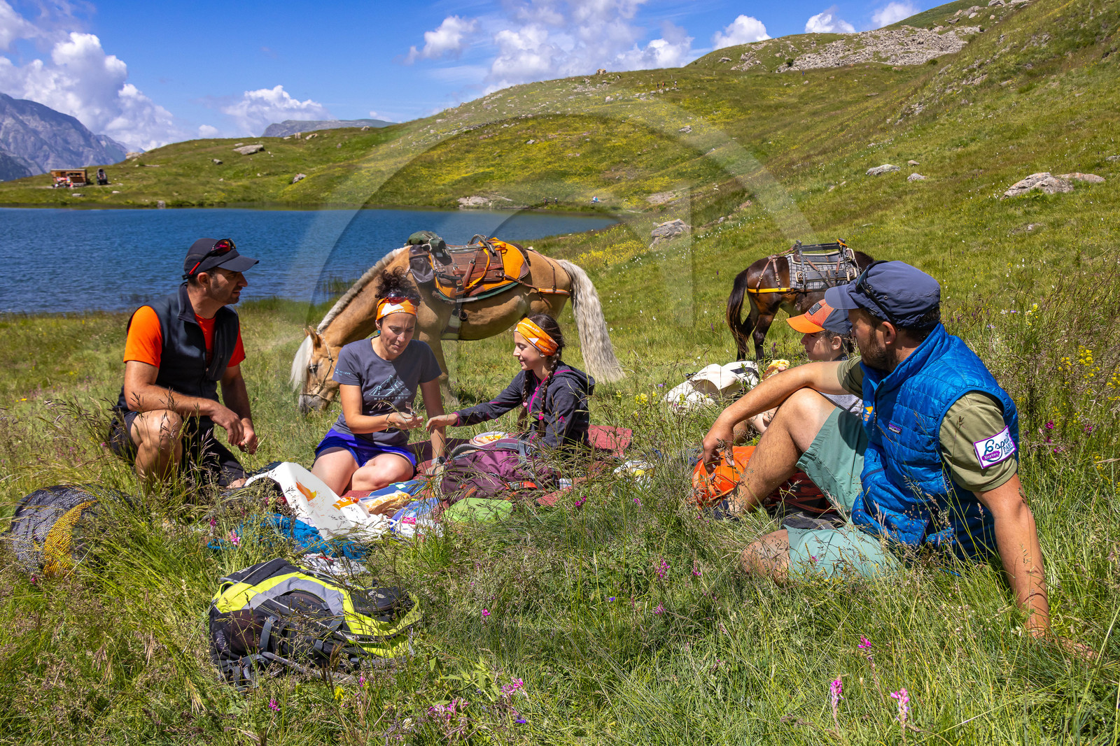 Trek famille avec animaux de bats