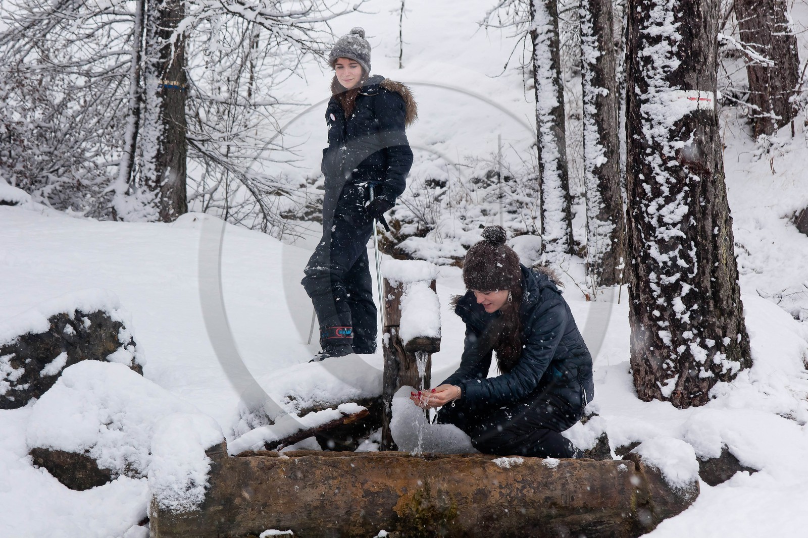 Randonnée, balade en raquettes à neige