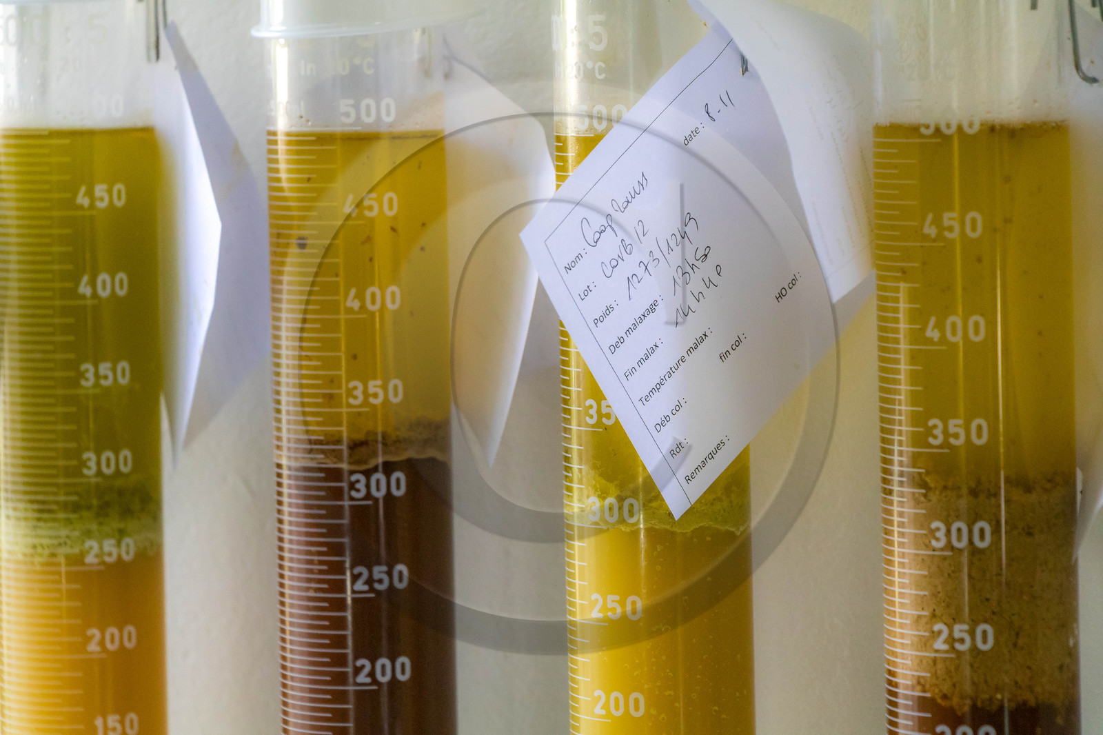 Syndicat interprofessionnel de l'olivier de la vallée des Baux de Provence