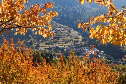 Valdeblore, Saint-Dalmas