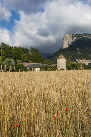 Tour des Corréardes