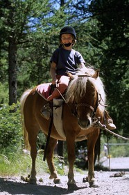 Poney